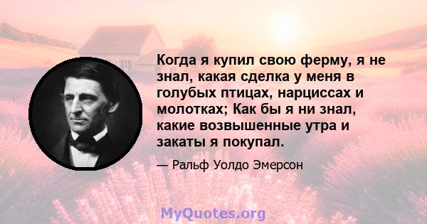 Когда я купил свою ферму, я не знал, какая сделка у меня в голубых птицах, нарциссах и молотках; Как бы я ни знал, какие возвышенные утра и закаты я покупал.