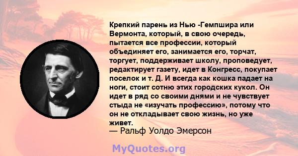 Крепкий парень из Нью -Гемпшира или Вермонта, который, в свою очередь, пытается все профессии, который объединяет его, занимается его, торчат, торгует, поддерживает школу, проповедует, редактирует газету, идет в