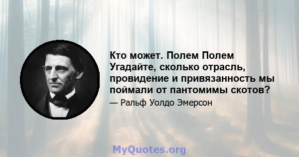 Кто может. Полем Полем Угадайте, сколько отрасль, провидение и привязанность мы поймали от пантомимы скотов?