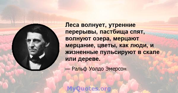 Леса волнует, утренние перерывы, пастбища спят, волнуют озера, мерцают мерцание, цветы, как люди, и жизненные пульсируют в скале или дереве.