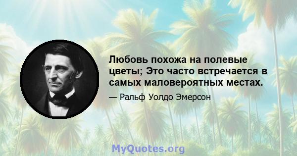 Любовь похожа на полевые цветы; Это часто встречается в самых маловероятных местах.