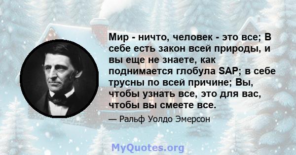 Мир - ничто, человек - это все; В себе есть закон всей природы, и вы еще не знаете, как поднимается глобула SAP; в себе трусны по всей причине; Вы, чтобы узнать все, это для вас, чтобы вы смеете все.