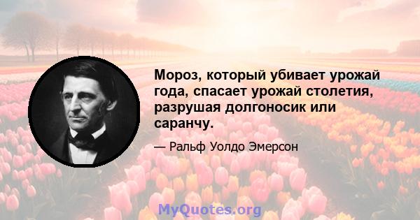 Мороз, который убивает урожай года, спасает урожай столетия, разрушая долгоносик или саранчу.