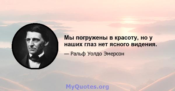 Мы погружены в красоту, но у наших глаз нет ясного видения.