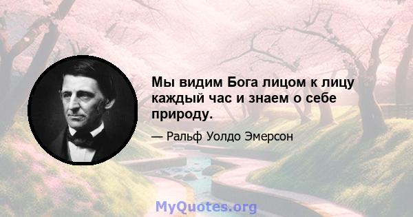 Мы видим Бога лицом к лицу каждый час и знаем о себе природу.