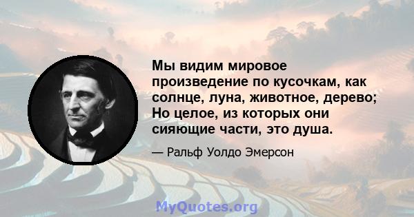 Мы видим мировое произведение по кусочкам, как солнце, луна, животное, дерево; Но целое, из которых они сияющие части, это душа.