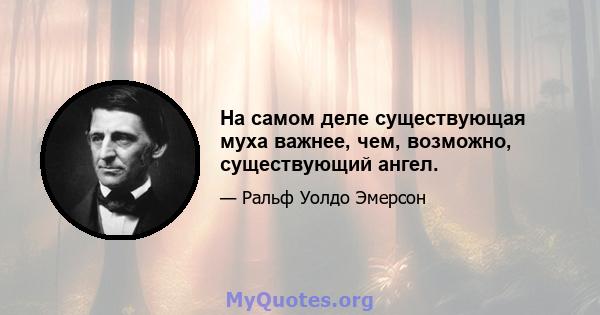 На самом деле существующая муха важнее, чем, возможно, существующий ангел.