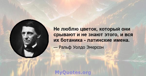 Не люблю цветок, который они срывают и не знают этого, и вся их ботаника - латинские имена.