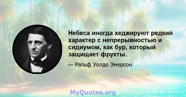 Небеса иногда хеджируют редкий характер с непрерывностью и сидиумом, как бур, который защищает фрукты.