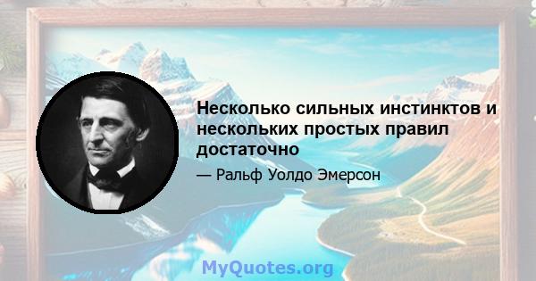 Несколько сильных инстинктов и нескольких простых правил достаточно