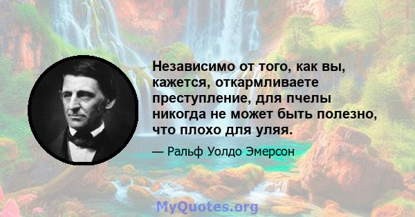 Независимо от того, как вы, кажется, откармливаете преступление, для пчелы никогда не может быть полезно, что плохо для уляя.