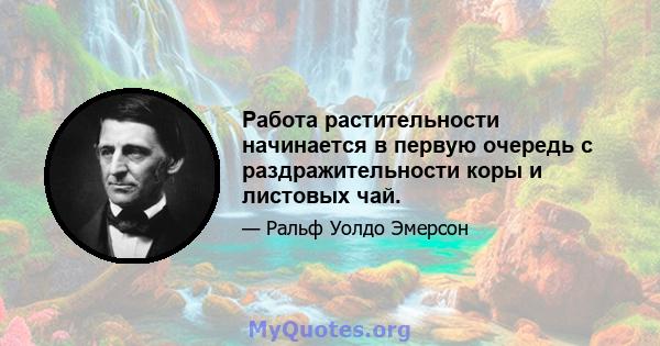 Работа растительности начинается в первую очередь с раздражительности коры и листовых чай.