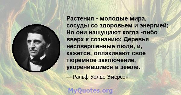 Растения - молодые мира, сосуды со здоровьем и энергией; Но они нащущают когда -либо вверх к сознанию; Деревья несовершенные люди, и, кажется, оплакивают свое тюремное заключение, укоренившиеся в земле.