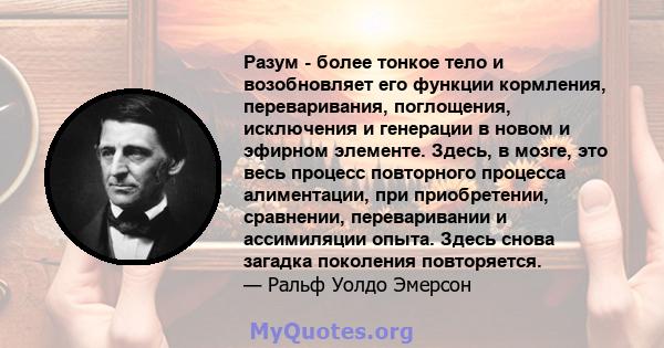 Разум - более тонкое тело и возобновляет его функции кормления, переваривания, поглощения, исключения и генерации в новом и эфирном элементе. Здесь, в мозге, это весь процесс повторного процесса алиментации, при