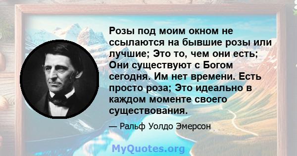 Розы под моим окном не ссылаются на бывшие розы или лучшие; Это то, чем они есть; Они существуют с Богом сегодня. Им нет времени. Есть просто роза; Это идеально в каждом моменте своего существования.