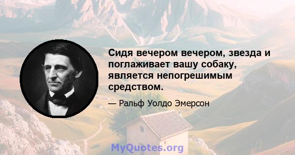 Сидя вечером вечером, звезда и поглаживает вашу собаку, является непогрешимым средством.