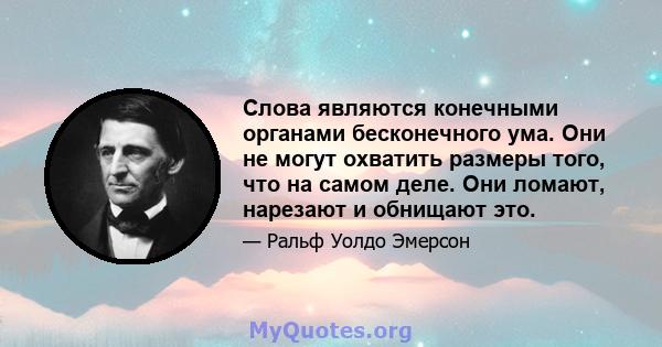 Слова являются конечными органами бесконечного ума. Они не могут охватить размеры того, что на самом деле. Они ломают, нарезают и обнищают это.