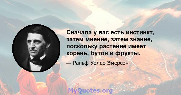 Сначала у вас есть инстинкт, затем мнение, затем знание, поскольку растение имеет корень, бутон и фрукты.