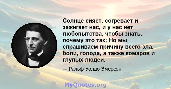 Солнце сияет, согревает и зажигает нас, и у нас нет любопытства, чтобы знать, почему это так; Но мы спрашиваем причину всего зла, боли, голода, а также комаров и глупых людей.