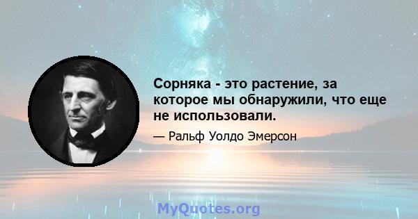 Сорняка - это растение, за которое мы обнаружили, что еще не использовали.