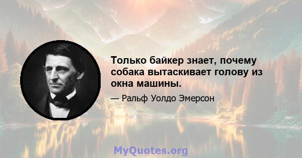 Только байкер знает, почему собака вытаскивает голову из окна машины.