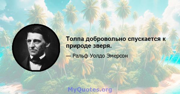 Толпа добровольно спускается к природе зверя.