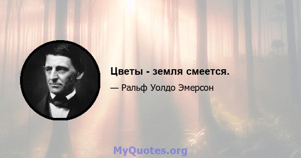 Цветы - земля смеется.