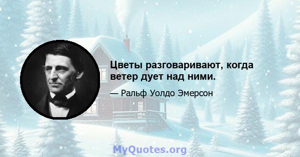 Цветы разговаривают, когда ветер дует над ними.