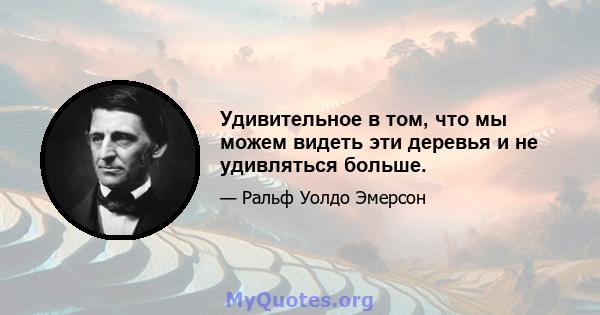 Удивительное в том, что мы можем видеть эти деревья и не удивляться больше.