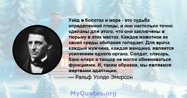 Уэйд в болотах и ​​море - это судьба определенной птицы, и они настолько точно сделаны для этого, что они заключены в тюрьму в этих местах. Каждое животное из своей среды обитания голодает. Для врача каждый мужчина,