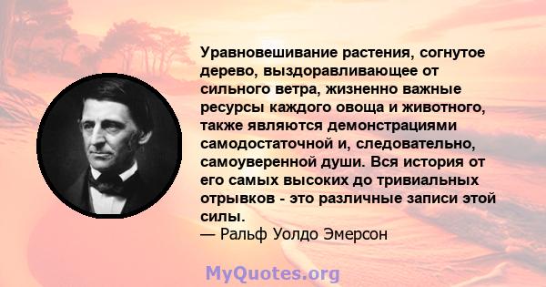 Уравновешивание растения, согнутое дерево, выздоравливающее от сильного ветра, жизненно важные ресурсы каждого овоща и животного, также являются демонстрациями самодостаточной и, следовательно, самоуверенной души. Вся