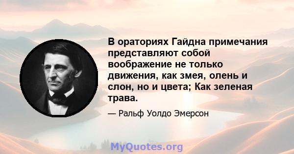 В ораториях Гайдна примечания представляют собой воображение не только движения, как змея, олень и слон, но и цвета; Как зеленая трава.