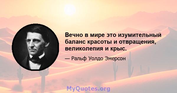 Вечно в мире это изумительный баланс красоты и отвращения, великолепия и крыс.