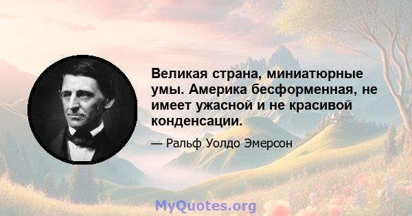 Великая страна, миниатюрные умы. Америка бесформенная, не имеет ужасной и не красивой конденсации.