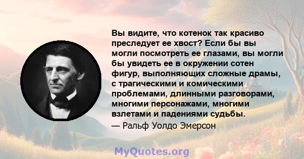 Вы видите, что котенок так красиво преследует ее хвост? Если бы вы могли посмотреть ее глазами, вы могли бы увидеть ее в окружении сотен фигур, выполняющих сложные драмы, с трагическими и комическими проблемами,