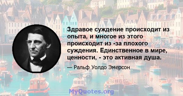 Здравое суждение происходит из опыта, и многое из этого происходит из -за плохого суждения. Единственное в мире, ценности, - это активная душа.