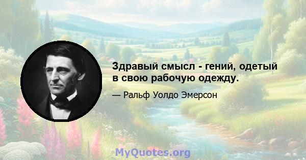 Здравый смысл - гений, одетый в свою рабочую одежду.