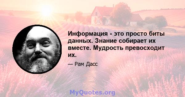 Информация - это просто биты данных. Знание собирает их вместе. Мудрость превосходит их.