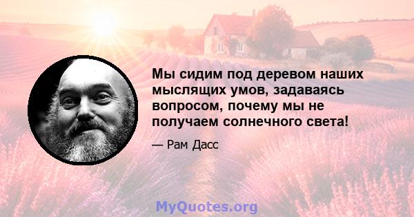 Мы сидим под деревом наших мыслящих умов, задаваясь вопросом, почему мы не получаем солнечного света!