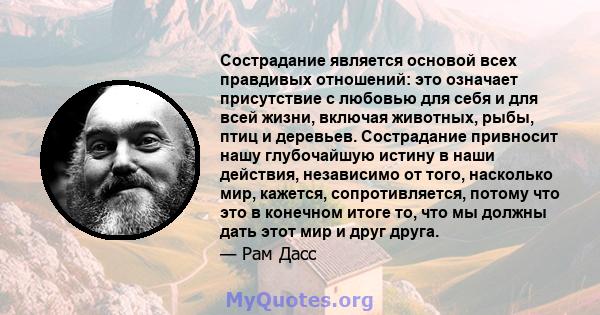 Сострадание является основой всех правдивых отношений: это означает присутствие с любовью для себя и для всей жизни, включая животных, рыбы, птиц и деревьев. Сострадание привносит нашу глубочайшую истину в наши