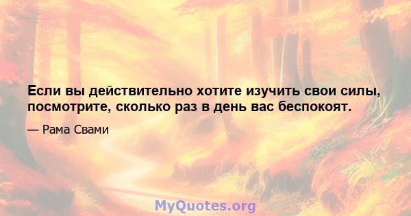 Если вы действительно хотите изучить свои силы, посмотрите, сколько раз в день вас беспокоят.