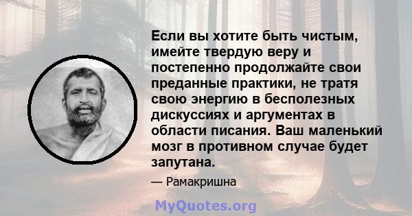 Если вы хотите быть чистым, имейте твердую веру и постепенно продолжайте свои преданные практики, не тратя свою энергию в бесполезных дискуссиях и аргументах в области писания. Ваш маленький мозг в противном случае