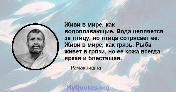 Живи в мире, как водоплавающие. Вода цепляется за птицу, но птица сотрясает ее. Живи в мире, как грязь. Рыба живет в грязи, но ее кожа всегда яркая и блестящая.