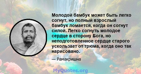 Молодой бамбук может быть легко согнут, но полный взрослый бамбук ломается, когда он согнут силой. Легко согнуть молодое сердце в сторону Бога, но неподготовленное сердце старого ускользает от трюма, когда оно так