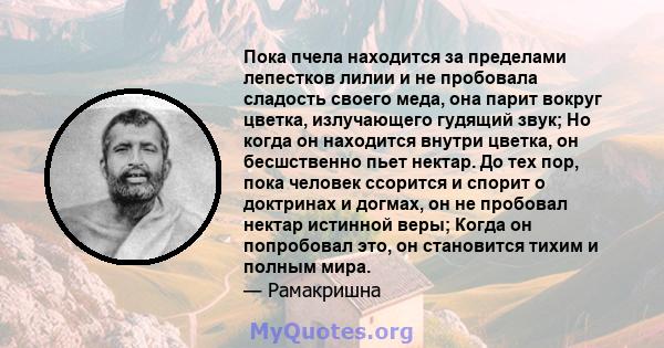 Пока пчела находится за пределами лепестков лилии и не пробовала сладость своего меда, она парит вокруг цветка, излучающего гудящий звук; Но когда он находится внутри цветка, он бесшственно пьет нектар. До тех пор, пока 