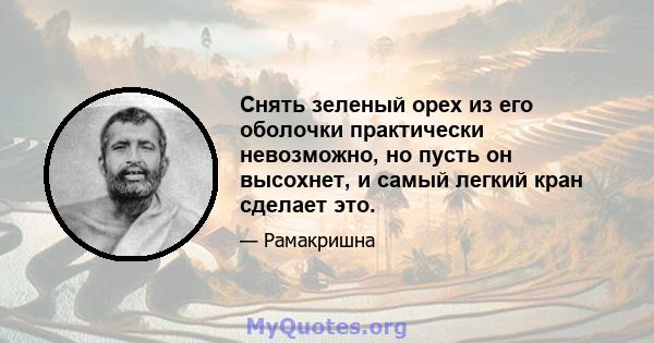 Снять зеленый орех из его оболочки практически невозможно, но пусть он высохнет, и самый легкий кран сделает это.