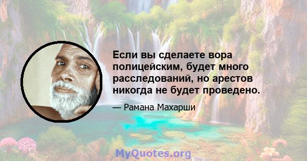 Если вы сделаете вора полицейским, будет много расследований, но арестов никогда не будет проведено.