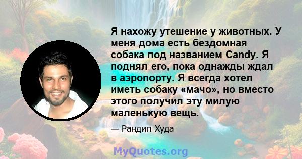 Я нахожу утешение у животных. У меня дома есть бездомная собака под названием Candy. Я поднял его, пока однажды ждал в аэропорту. Я всегда хотел иметь собаку «мачо», но вместо этого получил эту милую маленькую вещь.