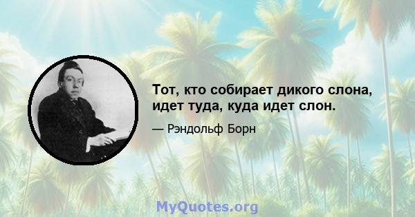 Тот, кто собирает дикого слона, идет туда, куда идет слон.