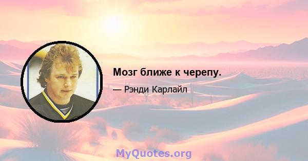 Мозг ближе к черепу.